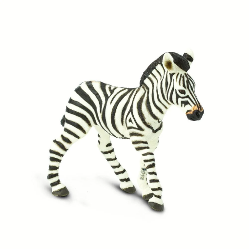 Zebra Foal – Ζέβρα Πουλάρι