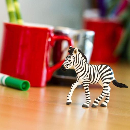 Zebra Foal – Ζέβρα Πουλάρι