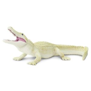 White Alligator – Λευκός Αλιγάτορας