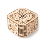 Treasure Secter Box