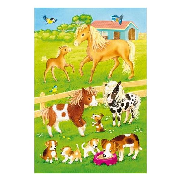 Standard – My farmyard friends – 3×24 τεμ.