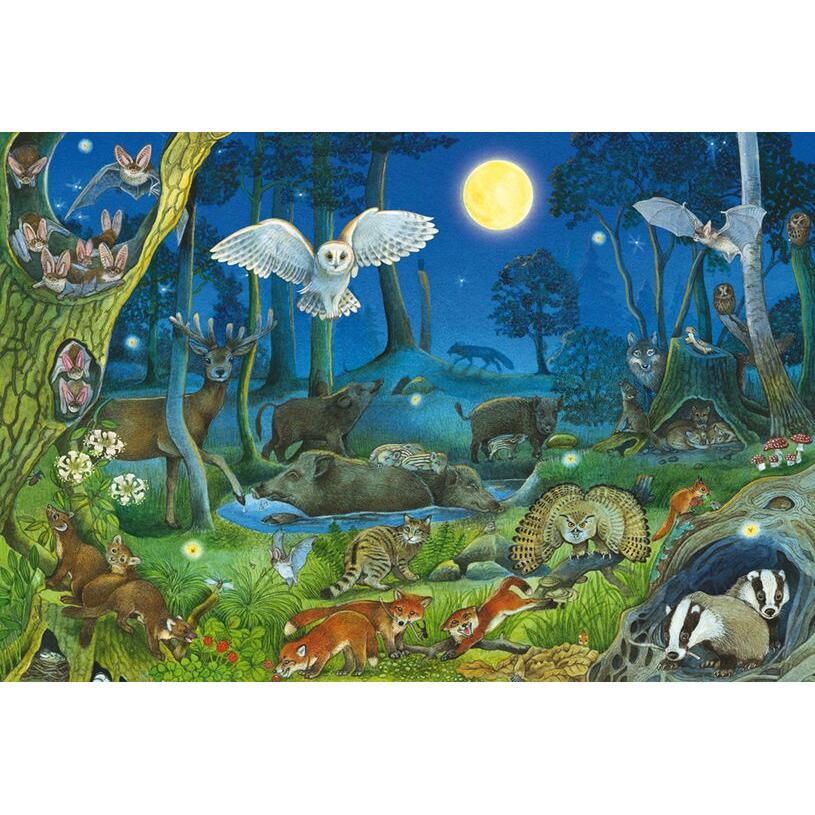 Animals in a night-time forest – 100 τεμ.